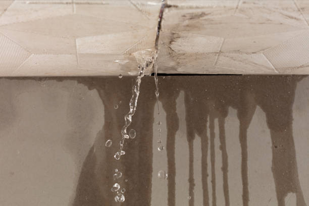 Professional Sewage Cleanup technician working in Wellsville, MO